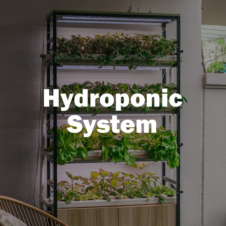 hydroponics System