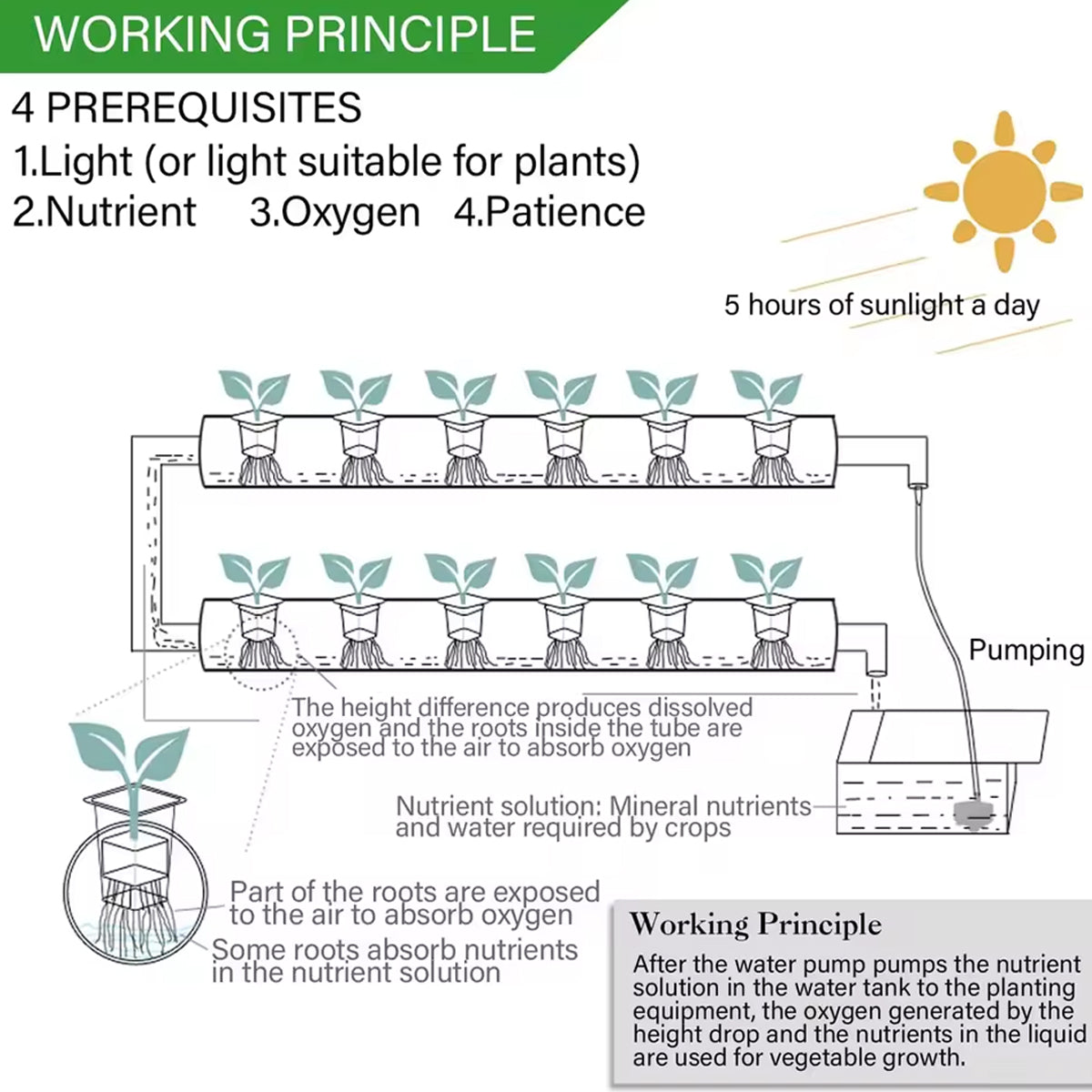 Hydroponics System - 36 Holes/4 LAYERS - PVC Pipe