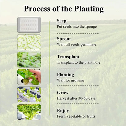 Hydroponics Growing System - 108 Plants/3-Layer (Premium)