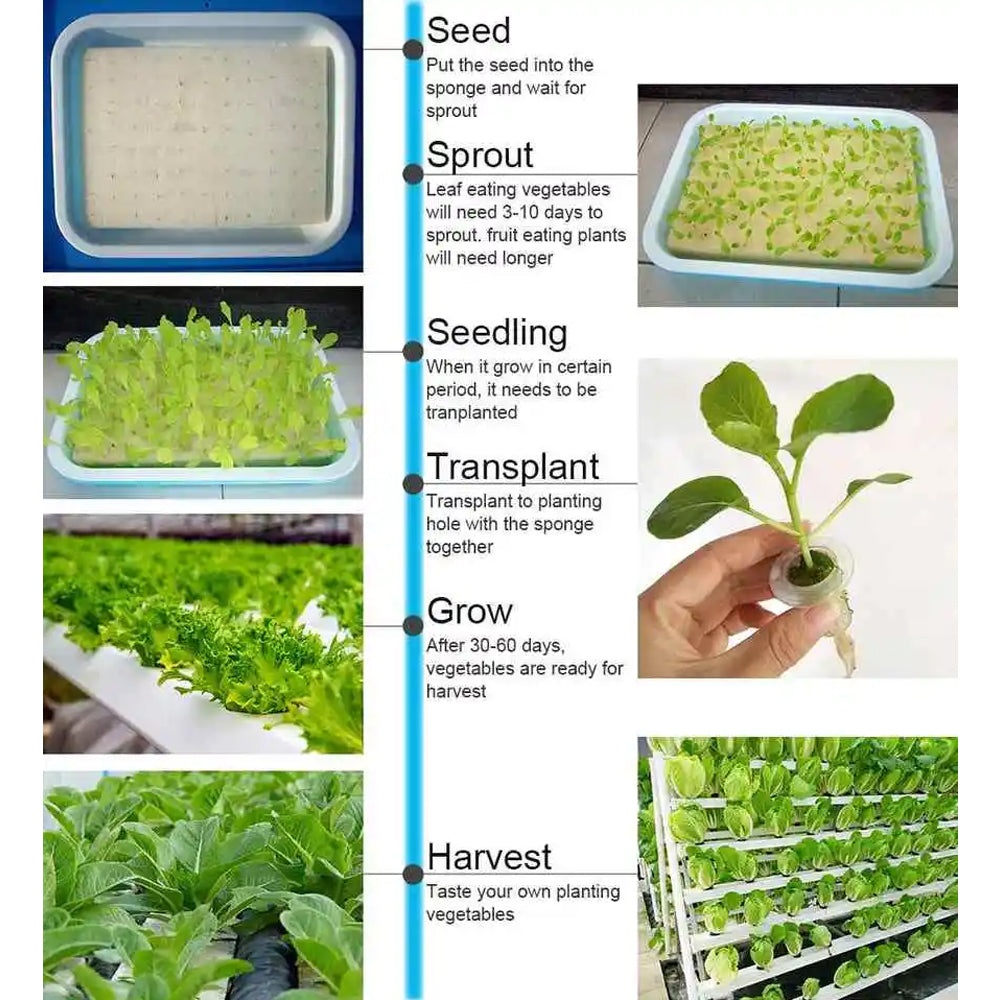 Hydroponics System - 36 Holes/4 LAYERS - PVC Pipe