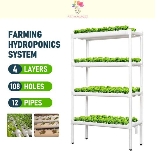 Hydroponics Growing System​